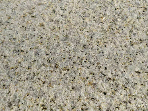 浅黄毛板
